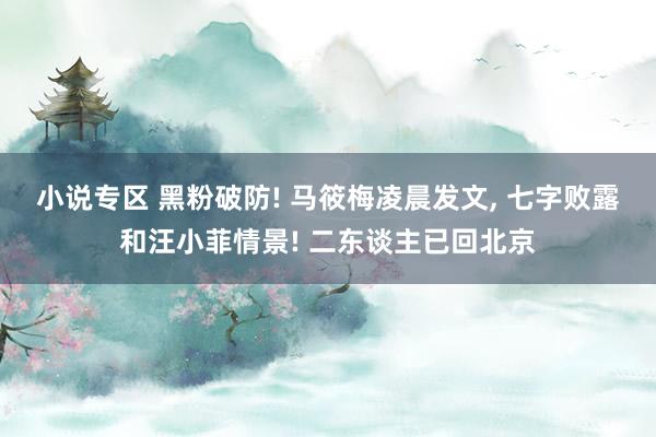 小说专区 黑粉破防! 马筱梅凌晨发文， 七字败露和汪小菲情景! 二东谈主已回北京